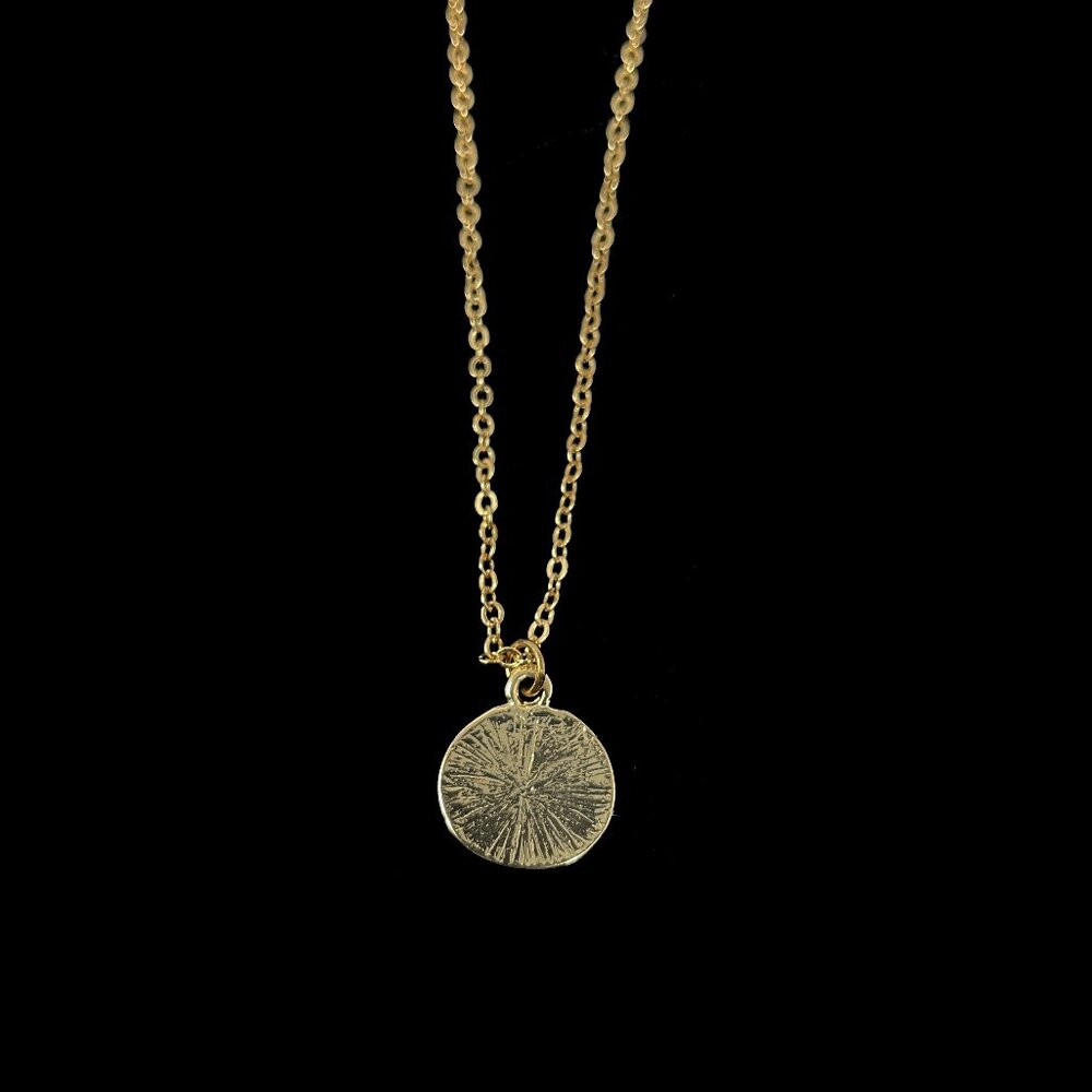 2-sided Starfish and Hammered Disc Gold Tone 16" Pendant Necklace